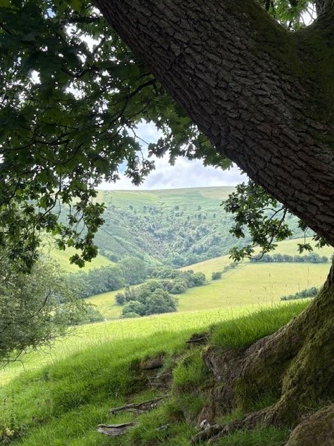 Heart of Wales
